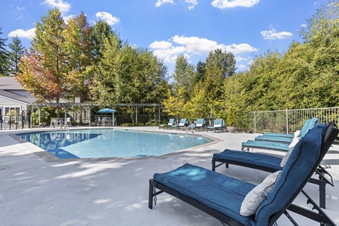 A pool surrounded by trees and chairs.