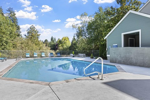 A swimming pool surrounded by trees and a building.