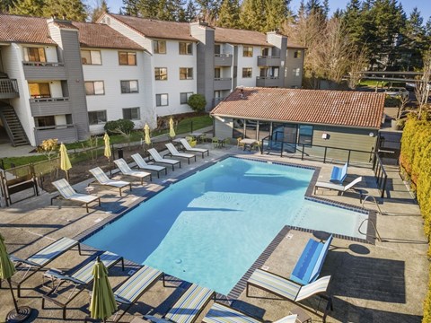 A swimming pool surrounded by sun loungers and umbrellas in front of apartment buildings.