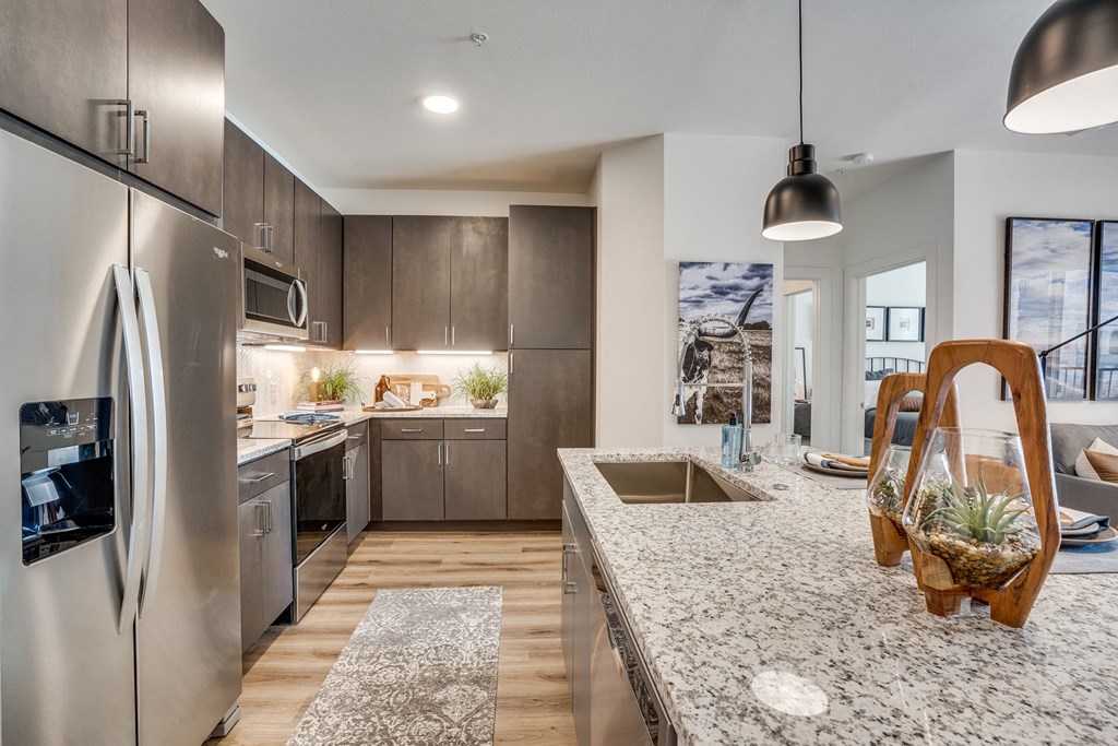 Granite Countertop Kitchen at Aurora Watson Branch, Mansfield