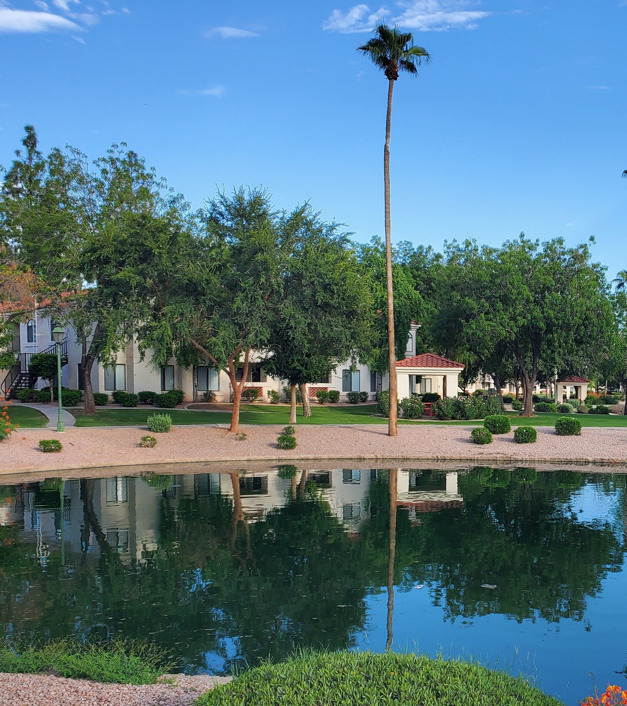 San Montego Luxury Apartments