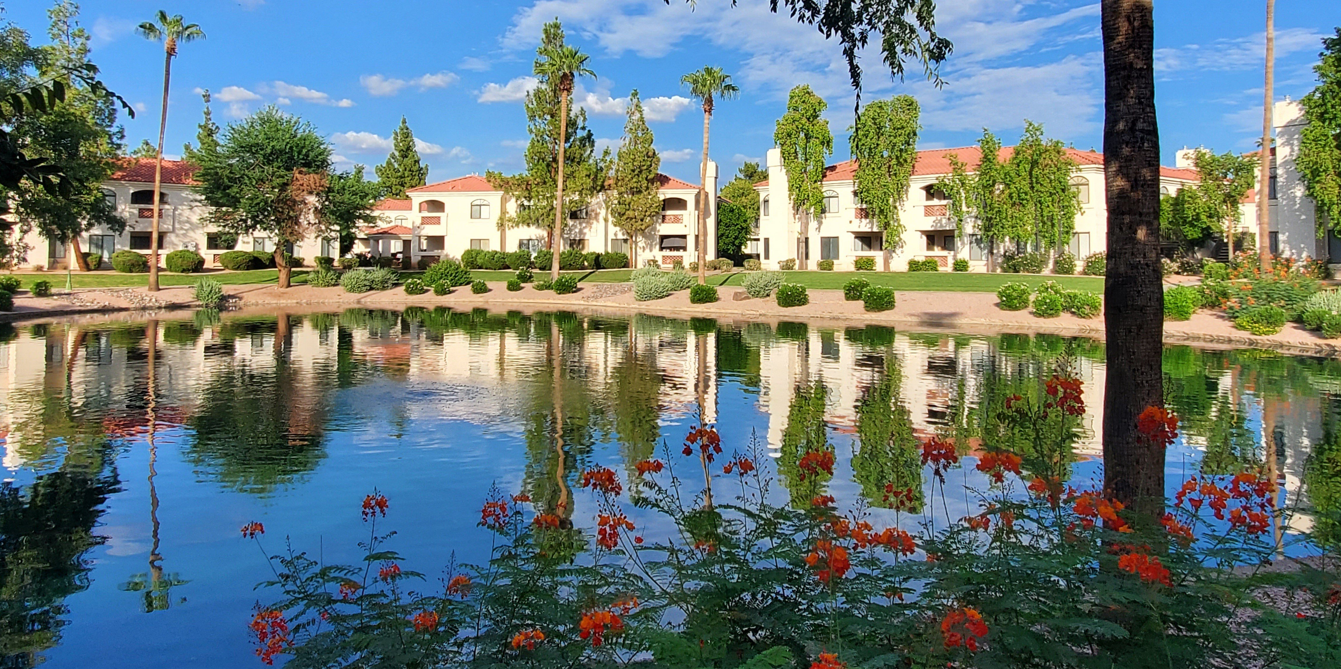 San Montego Luxury Apartments