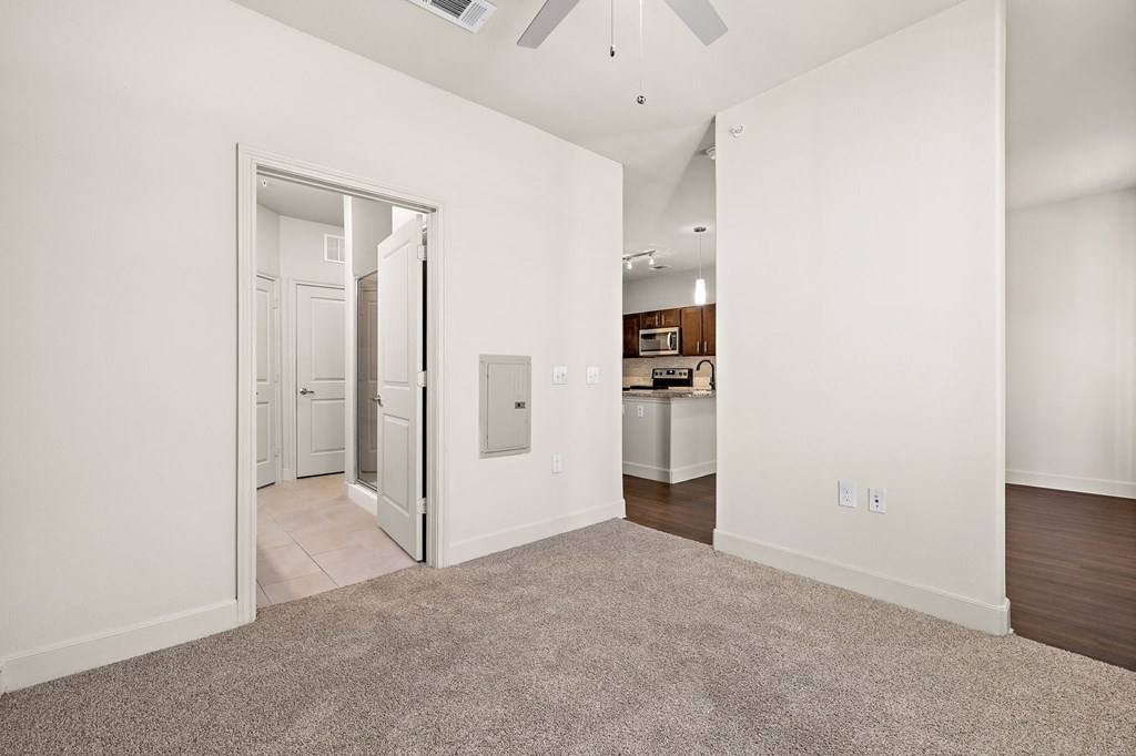 Master Carpeted at North Creek, Hutto, Texas