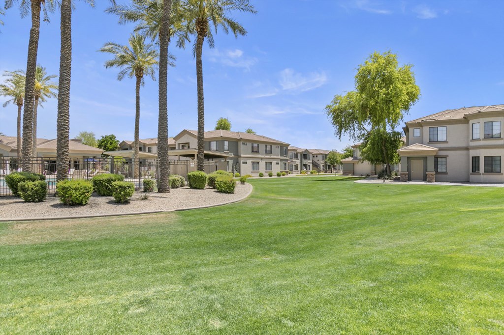 a grassy area with palm trees and houses in the background  at Adiamo Palm Valley, Goodyear, Arizona