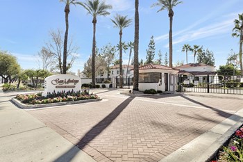 San Montego Apartments, Mesa, AZ San Montego Apartments, Mesa, AZ - Photo Gallery 3