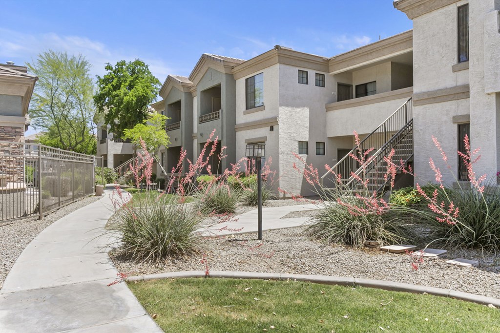 Lush landscaping throughout the property  at Adiamo Palm Valley, Goodyear, Arizona
