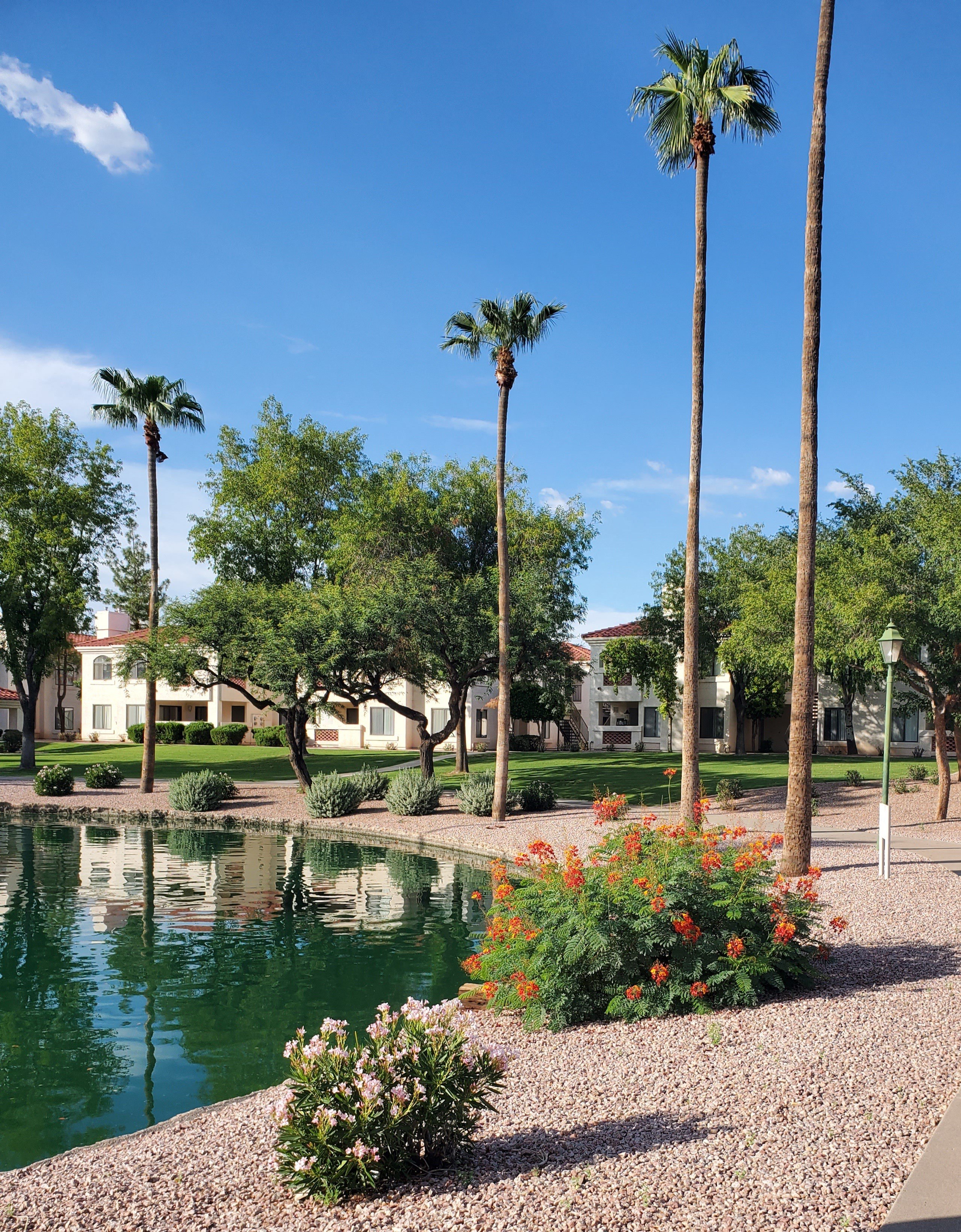 San Montego Luxury Apartments