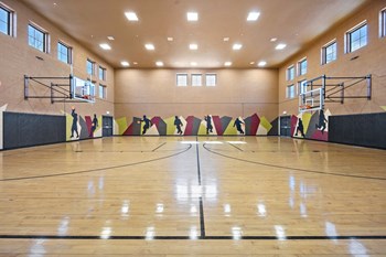 Basketball Court at Las Brisas Apartments in Round Rock, Texas - Photo Gallery 14