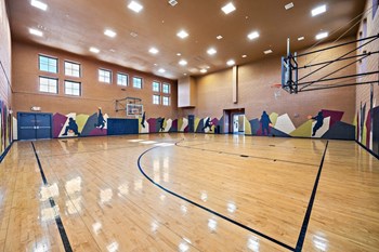 Basketball Court at Las Brisas Apartments in Round Rock, Texas - Photo Gallery 15