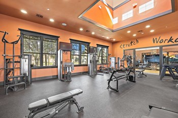 24 Hour Fitness Center at Las Brisas Apartments in Round Rock, Texas - Photo Gallery 13