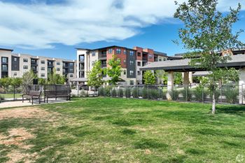 Lush Green Outdoor at Aurora Watson Branch, Texas