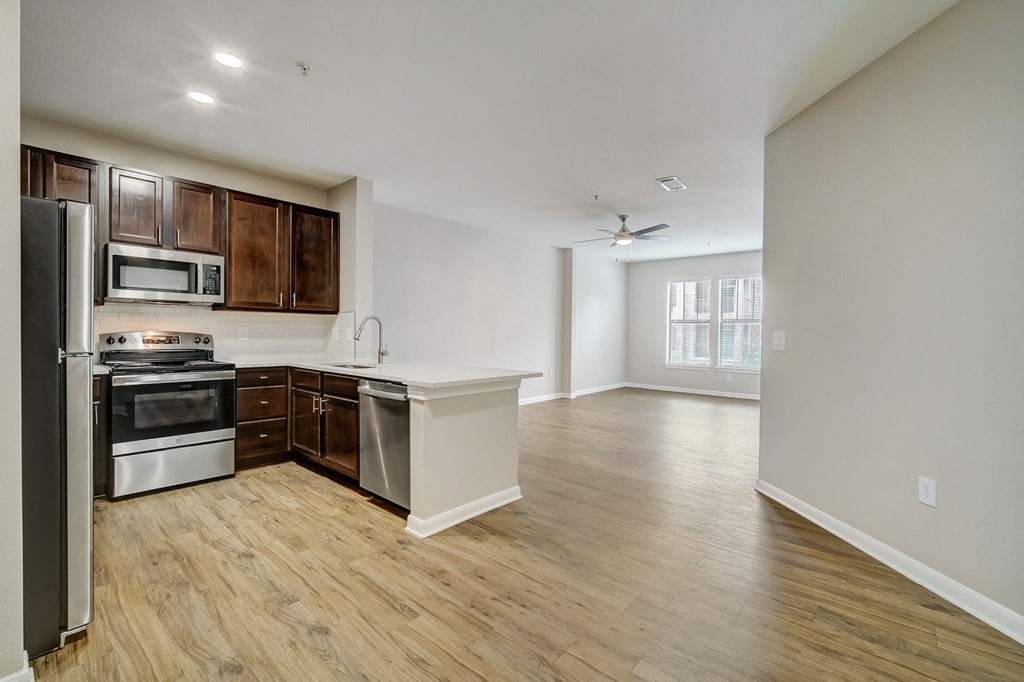 apartment kitchen and living room