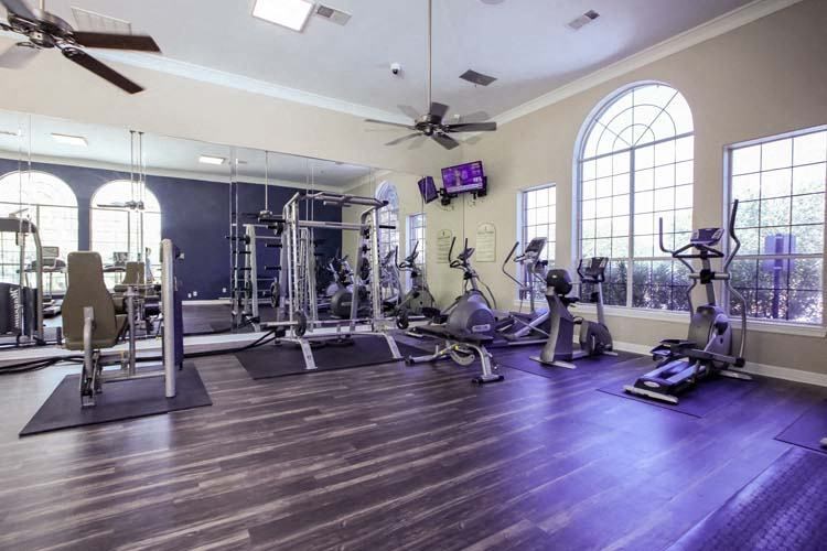 State of the Art Fitness Studio
