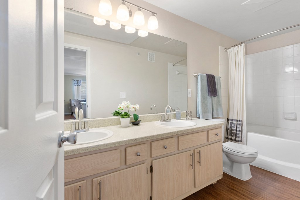 Luxurious Bathroom at Sonterra Apartment Homes, Austin, TX