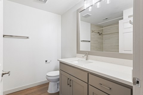a bathroom with a sink and a toilet and a mirror at The Legends at Eagle Mountain Lake, Fort Worth