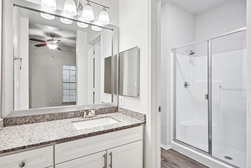 a bathroom with a sink and a shower and a mirror at La Ventura Apartments, Plano, TX, 75093