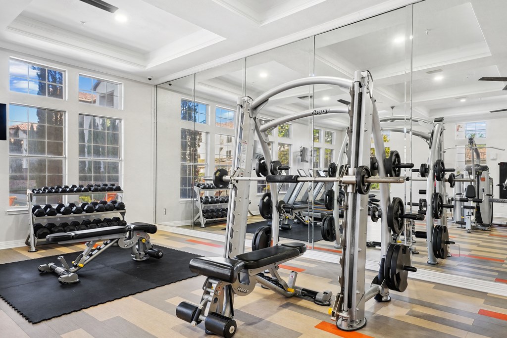 a home gym with weights and cardio equipment and windows at La Ventura Apartments, Plano, 75093