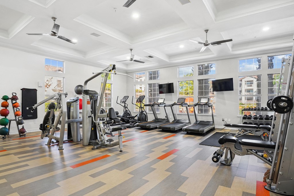 the gym has plenty of exercise equipment and windows at La Ventura Apartments, Texas, 75093