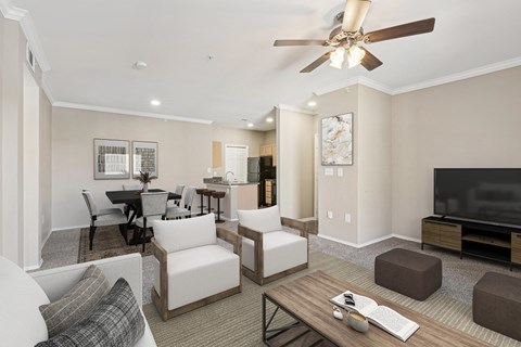 a living room with couches and chairs and a tv