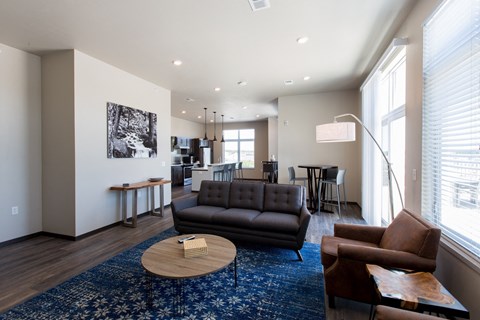 A living room with a black couch and a blue rug.