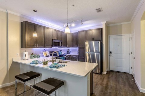 Kitchen at The Oasis at 301 Luxury Apartment Homes, Florida