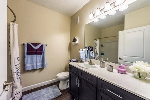 Luxurious Bathroom at The Oasis at 301 Luxury Apartment Homes, Riverview, FL