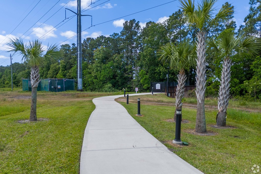 A walkway with palm trees on either side.