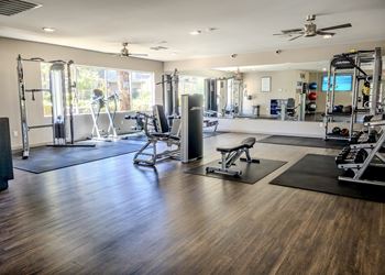 A spacious gym with a variety of equipment including a squat rack, a bench, and a weight machine.