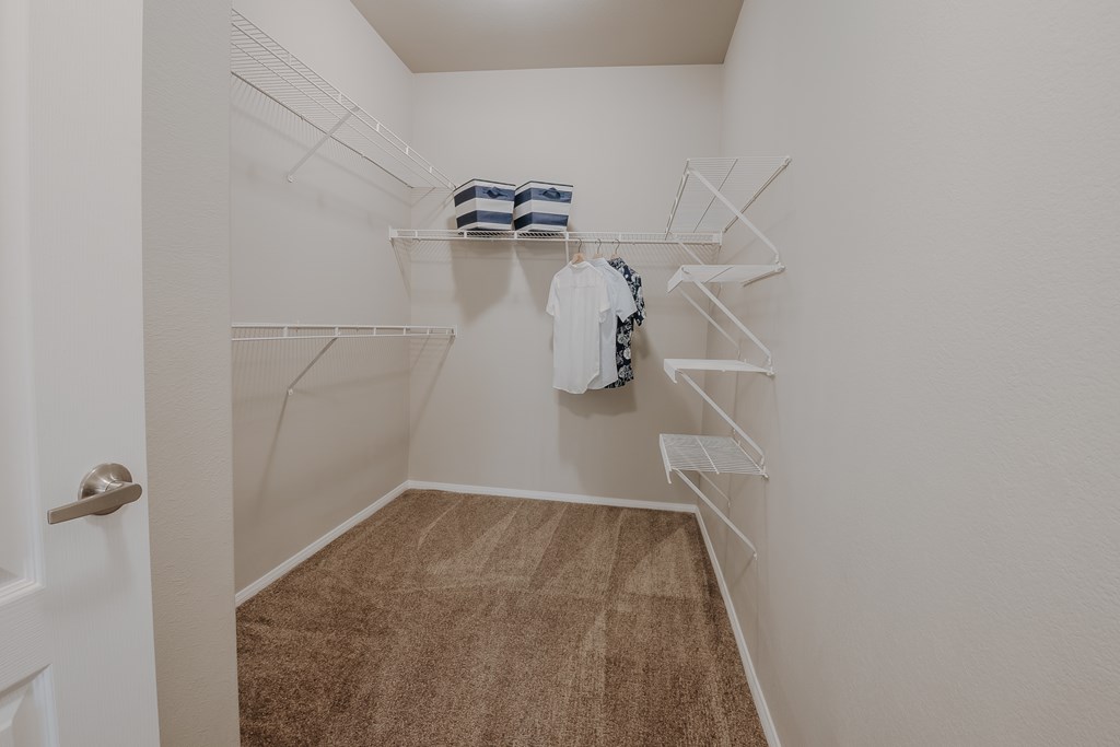 A white closet with a brown carpet and a white door.