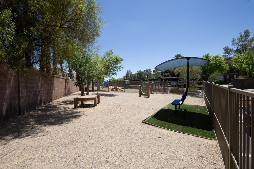 Pet run with exercise equipment and bench