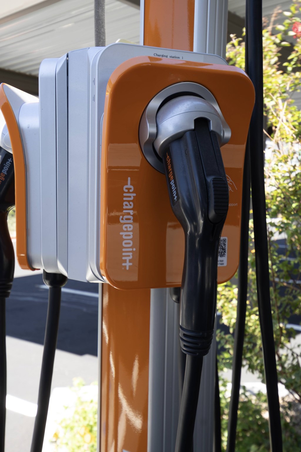 Level 25 At The Curve By Picerne