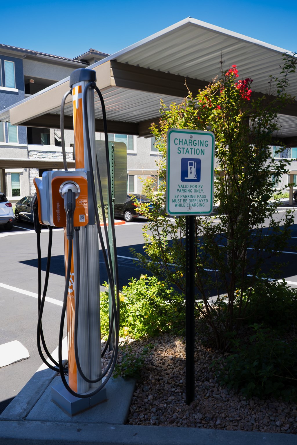 Level 25 At The Curve By Picerne