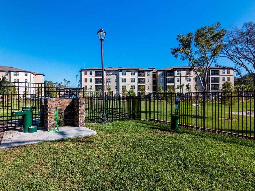 Dog Park at The Oasis at Lake Bennet, Ocoee, Florida