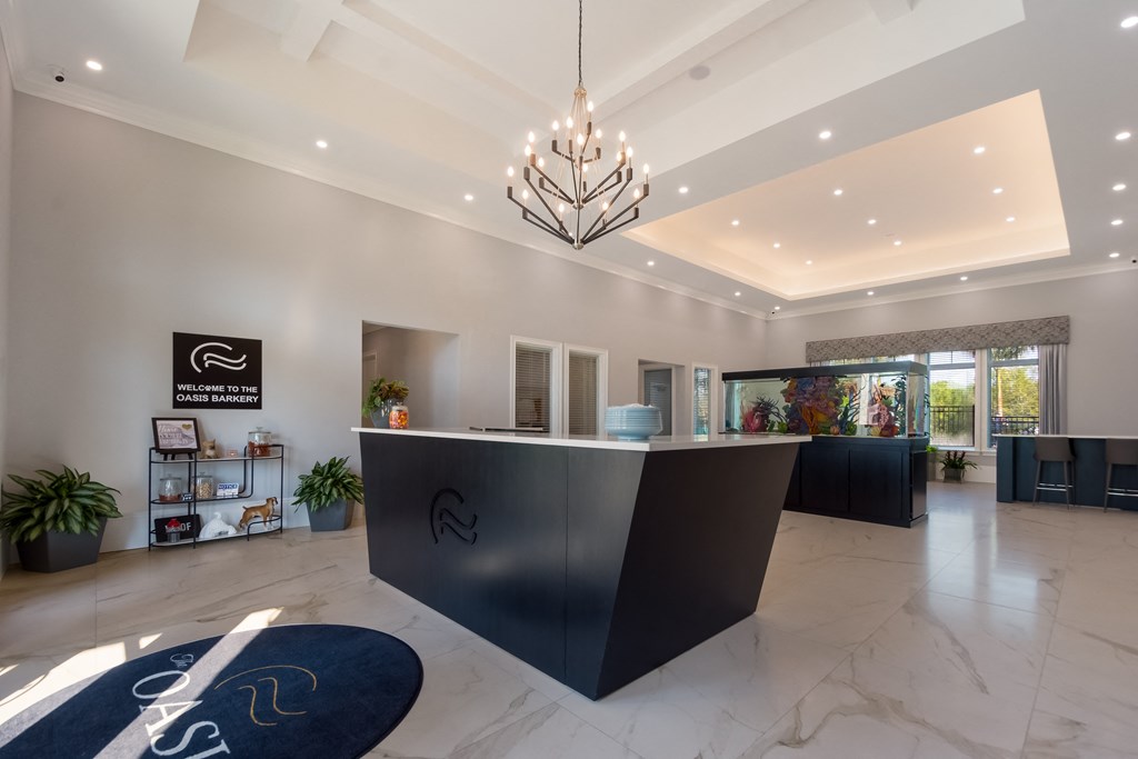 a modern reception desk with a chandelier hanging from the ceiling  at The Oasis at Manatee River, Florida, 34211