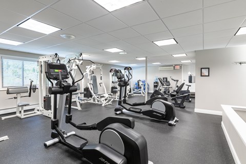 A gym with treadmills, elliptical machines, and other exercise equipment.