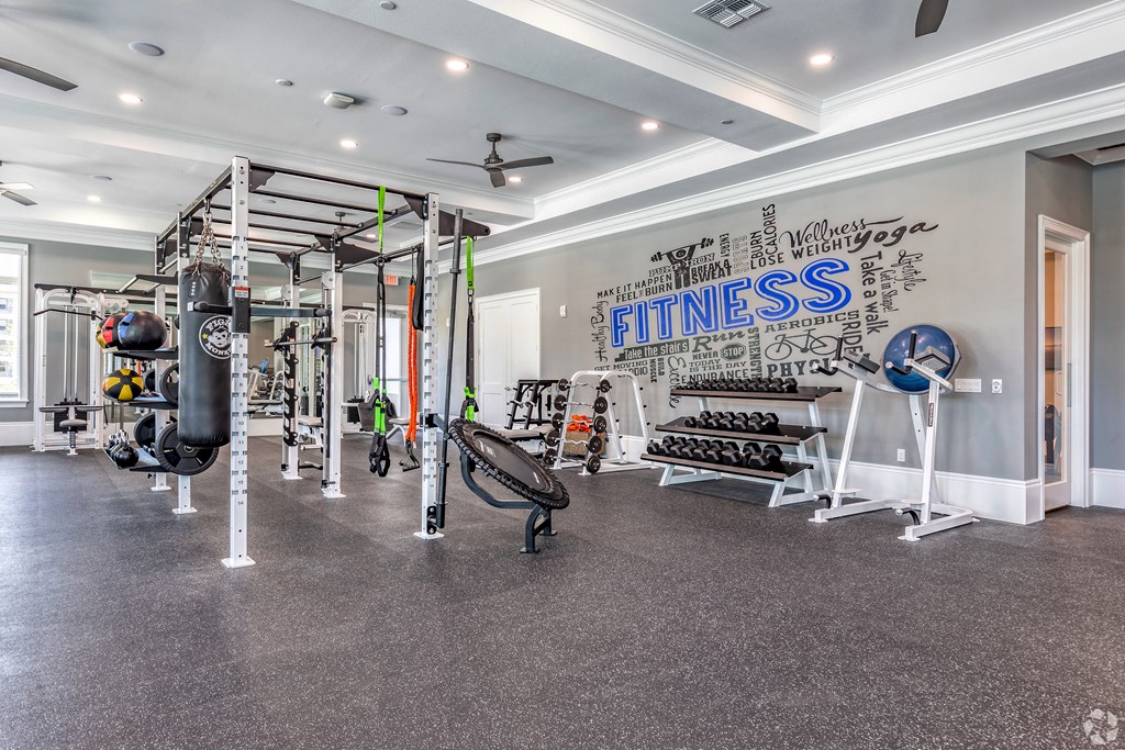 the gym at the enclave at woodbridge apartments in sugar land, tx at The Oasis at Manatee River, Bradenton, FL