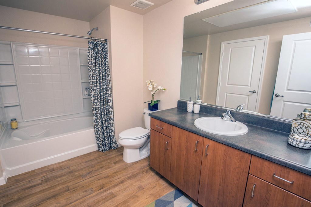 a bathroom with a sink toilet and a shower