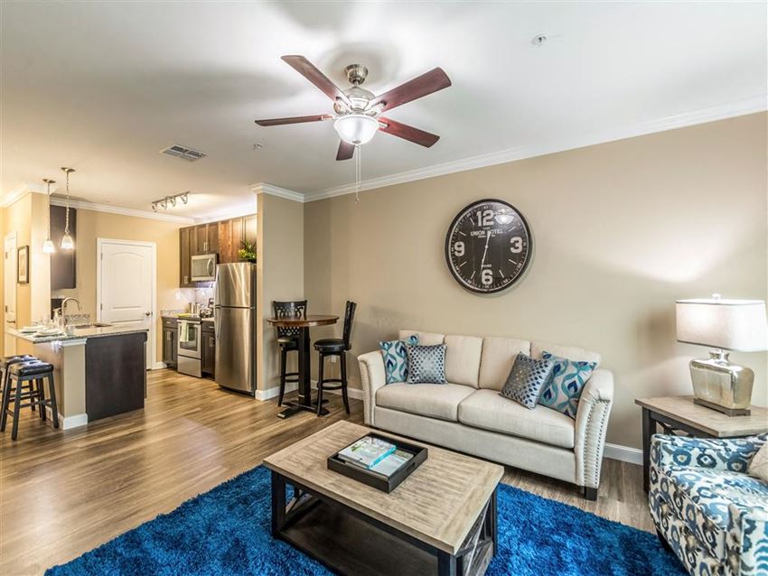 Living room interior Living room interior at The Oasis at Plainville, Plainville, Massachusetts - Photo Gallery