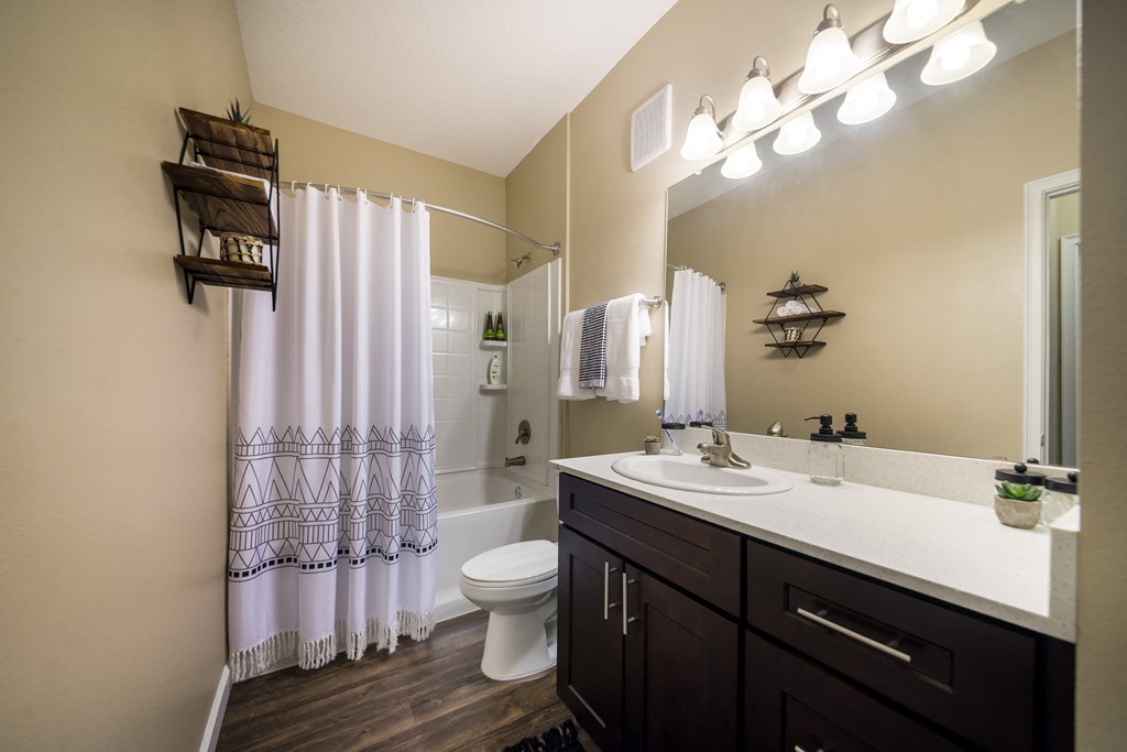 a bathroom with a sink and a toilet and a shower at The Oasis at Highwoods Preserve, Tampa