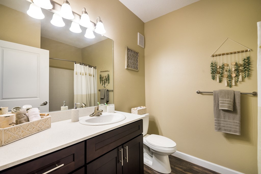 a bathroom with a sink and a toilet and a mirror at The Oasis at Highwoods Preserve, Tampa, 33647