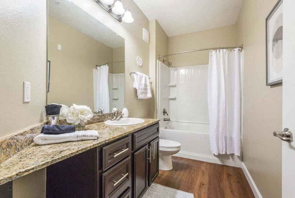 Bathroom at The Oasis at Brandon, Riverview, Florida