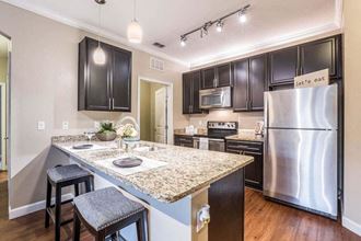 Kitchen at The Oasis at Brandon, Riverview, FL, 33578 - Photo Gallery 2