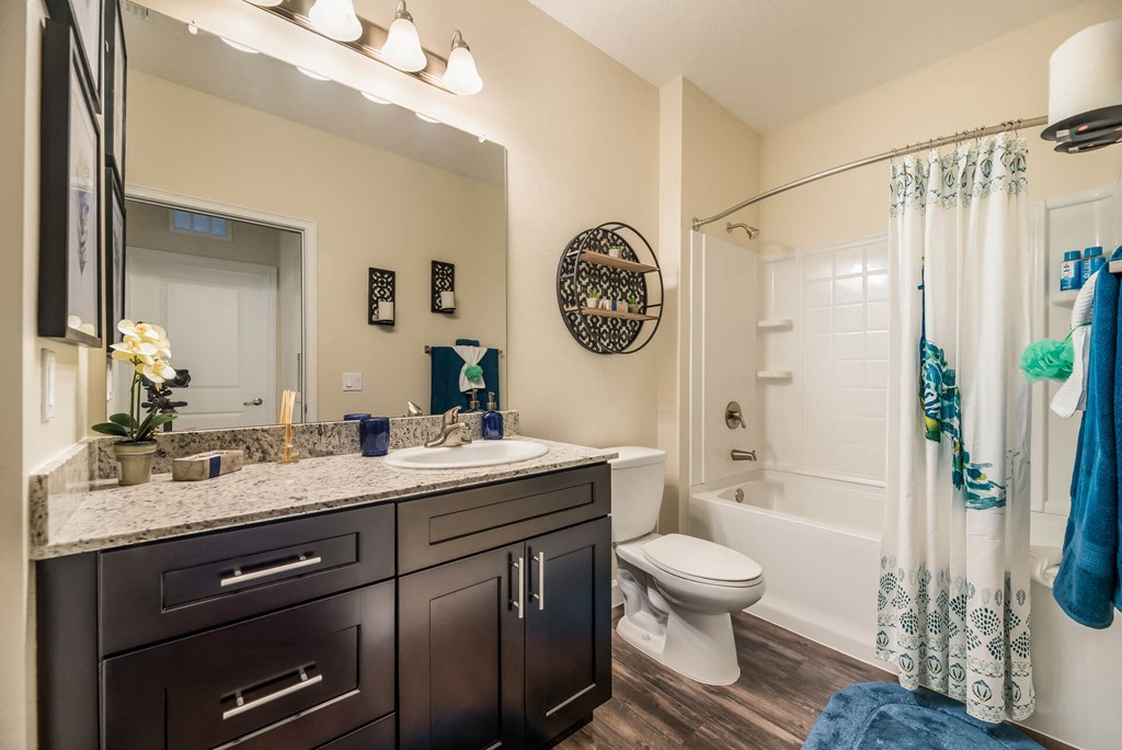 Luxurious Bathroom at The Oasis at Moss Park Preserve, Orlando, FL, 32832