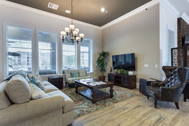 Resident Lounge at The Oasis at Moss Park, Orlando, 32832 - Photo Gallery 5