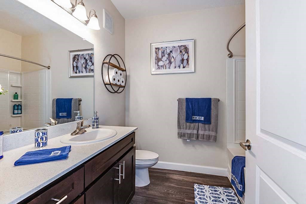 Bathroom With Vanity Lights at The Oasis at Cypress Woods, Florida, 33966