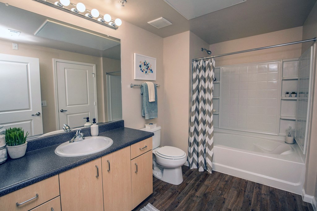 a bathroom with a shower toilet and sink and a mirror