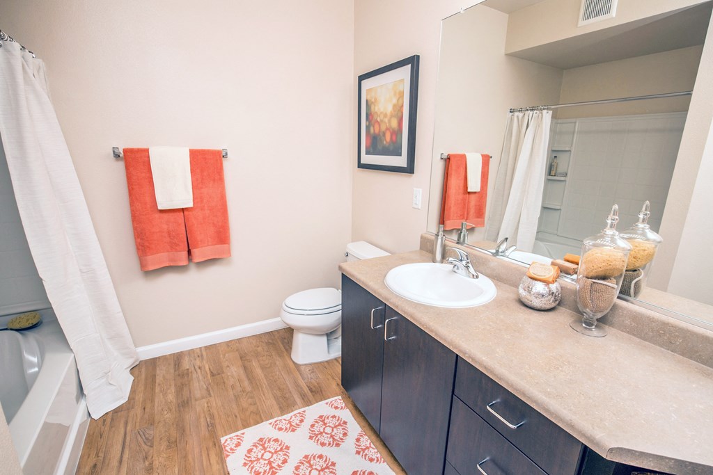 a bathroom with a sink and a toilet and a shower