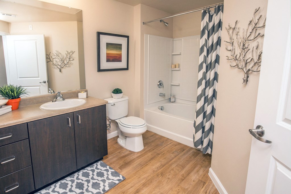 a bathroom with a shower toilet and sink and a mirror