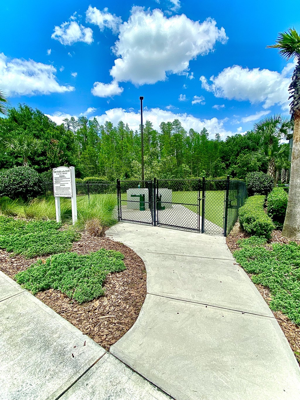 Paw Park at The Oasis at Highwoods Preserve, Tampa, 33647