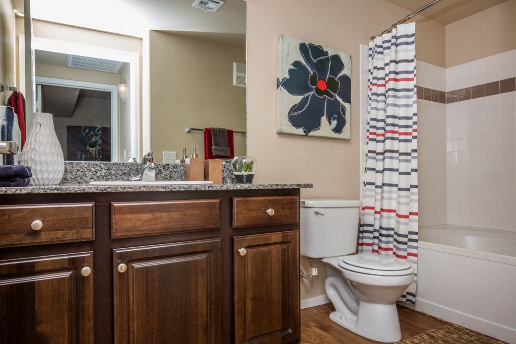 Risen Star-Bathroom interior at The Belmont by Picerne, Las Vegas, NV, 89183